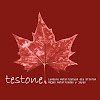 Testone